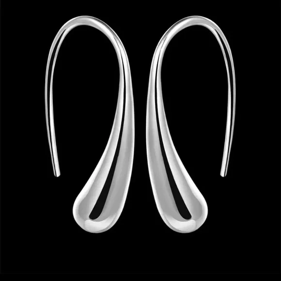 Sterling Silver Hook Drop Earrings - Picture 1 of 2